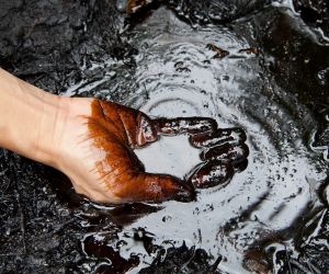 Impacto de Tasas en Commodities 